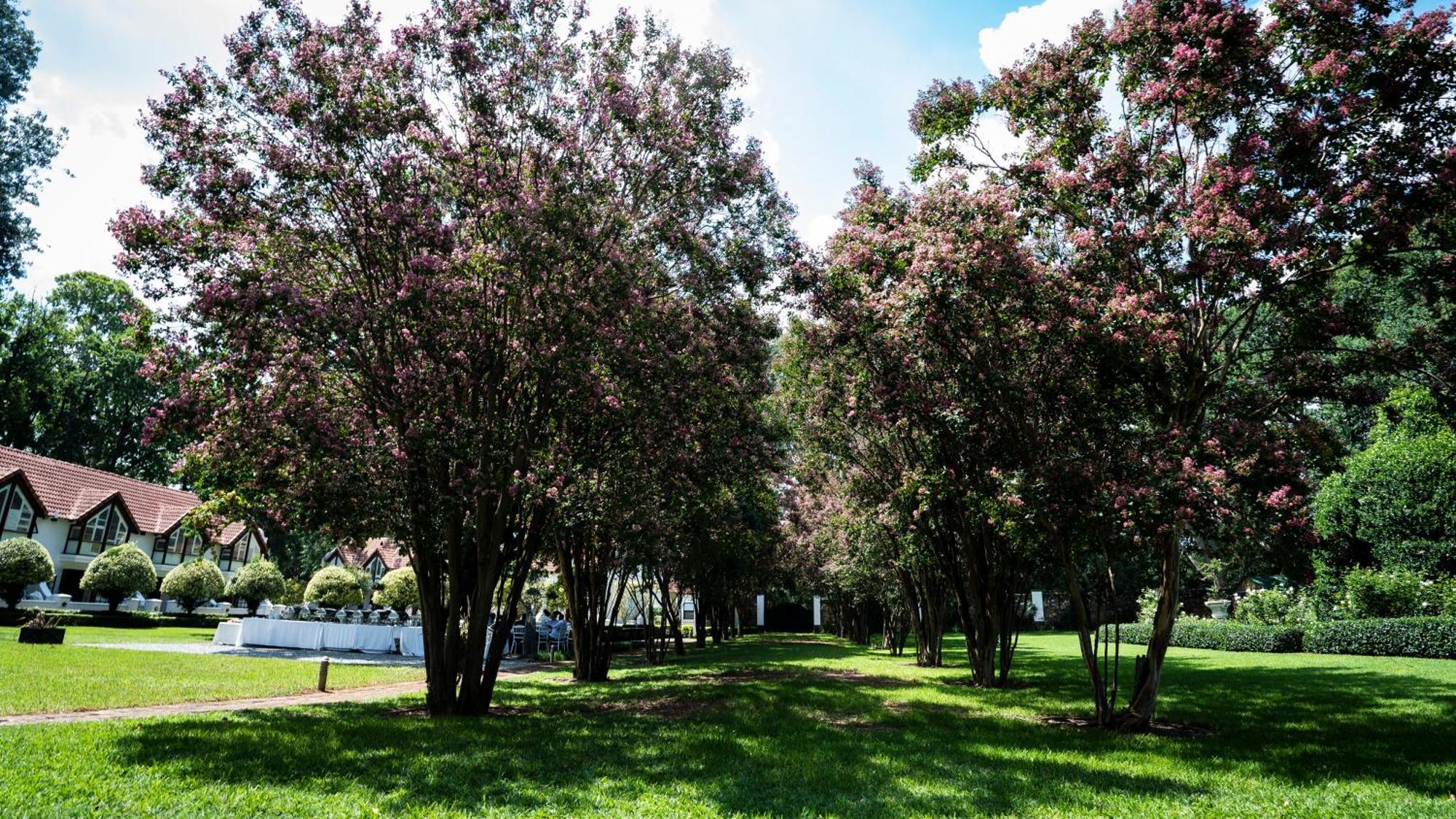 River Meadow Manor Centurion Luaran gambar